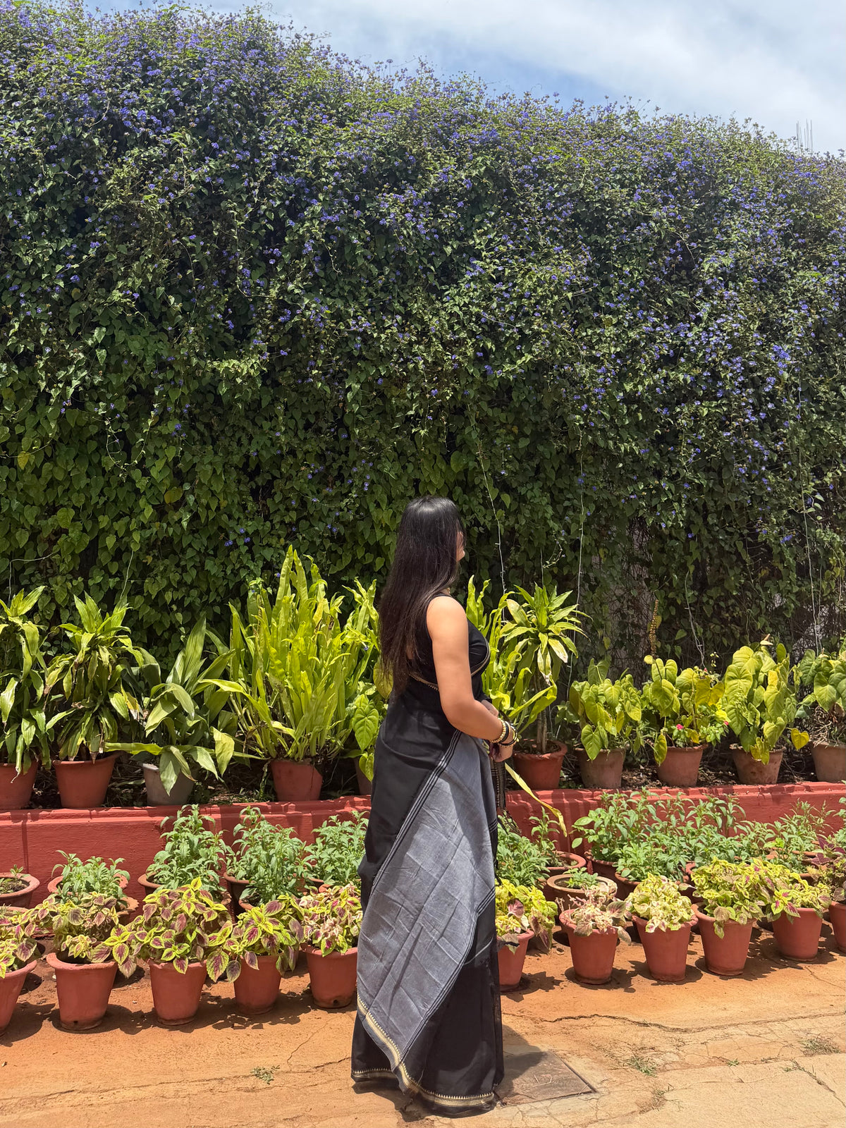 Inika -  Small Border Cotton Saree