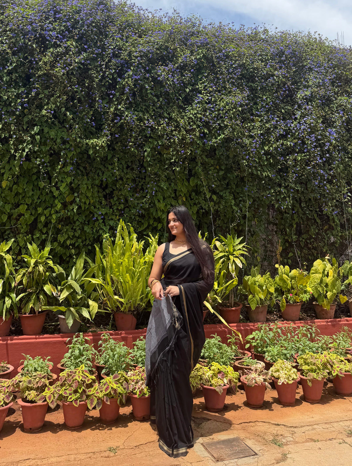 Inika -  Small Border Cotton Saree